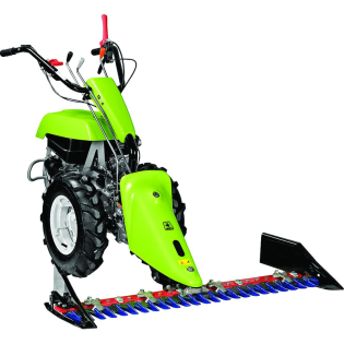 grillo ΘΕΡΙΣΤΙΚΟ G107D_result